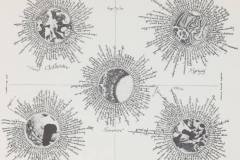 Fluxus darbas / Fluxus Artwork