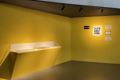 fluxus-shop-1