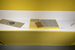 fluxus-shop-2