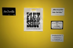fluxus-shop-3