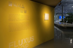 fluxus-shop-4
